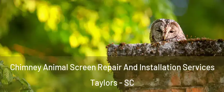  Chimney Animal Screen Repair And Installation Services Taylors - SC