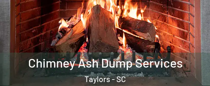  Chimney Ash Dump Services Taylors - SC