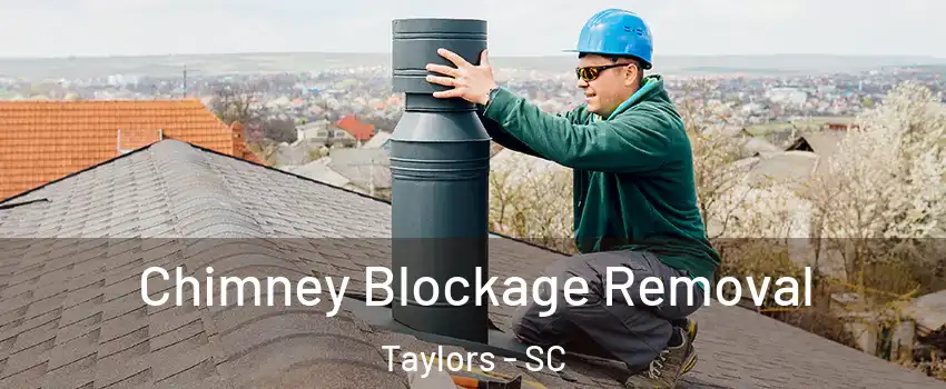  Chimney Blockage Removal Taylors - SC