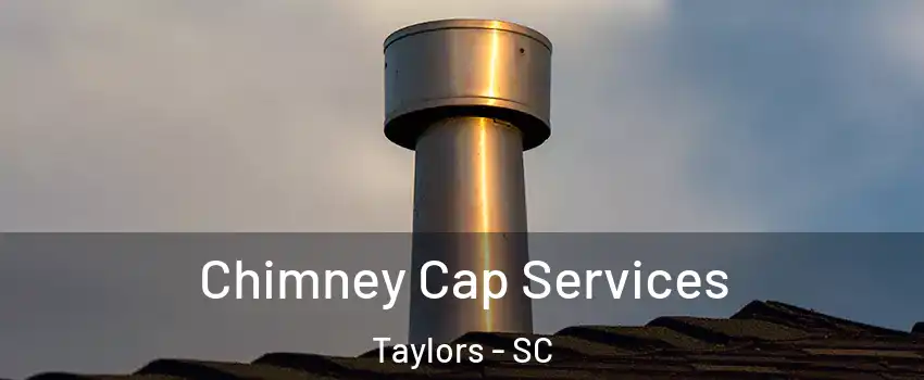  Chimney Cap Services Taylors - SC