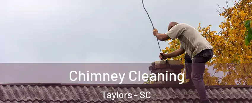  Chimney Cleaning Taylors - SC
