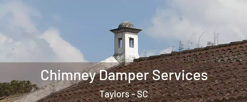  Chimney Damper Services Taylors - SC