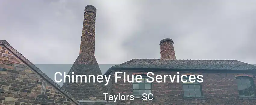  Chimney Flue Services Taylors - SC