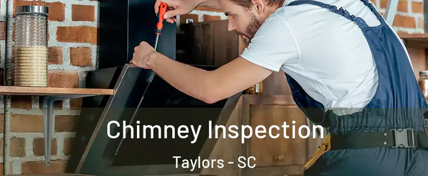 Chimney Inspection Taylors - SC