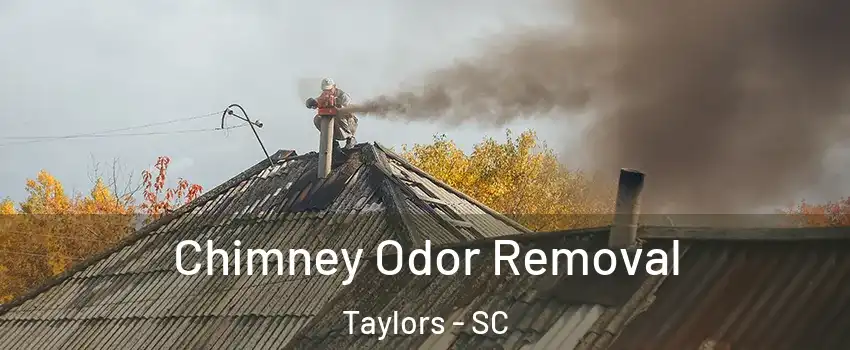  Chimney Odor Removal Taylors - SC