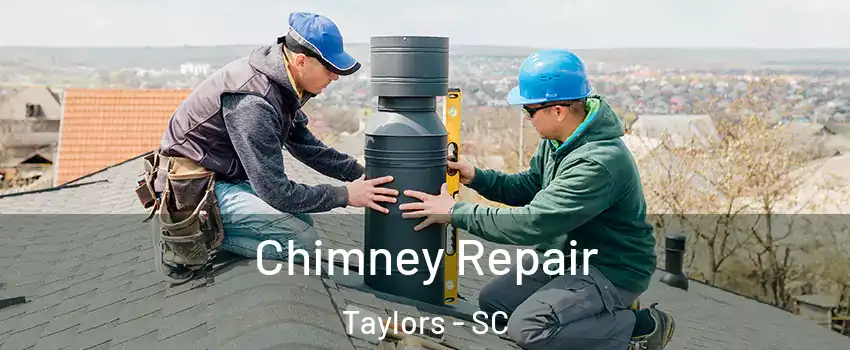  Chimney Repair Taylors - SC