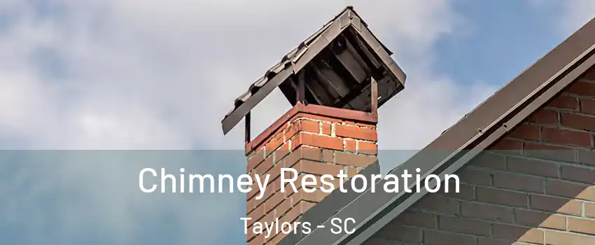  Chimney Restoration Taylors - SC