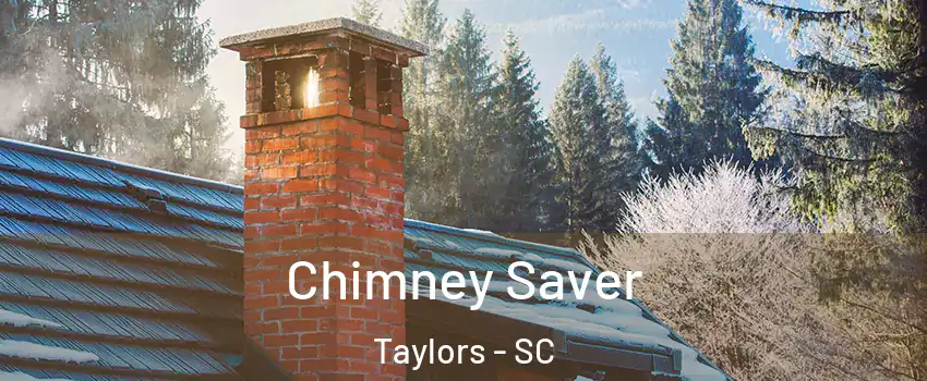  Chimney Saver Taylors - SC
