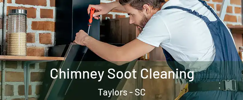  Chimney Soot Cleaning Taylors - SC