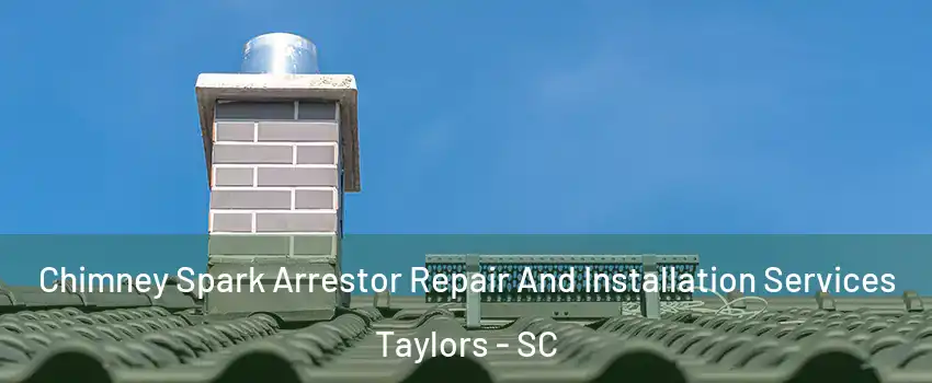 Chimney Spark Arrestor Repair And Installation Services Taylors - SC