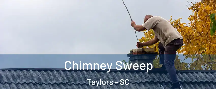  Chimney Sweep Taylors - SC