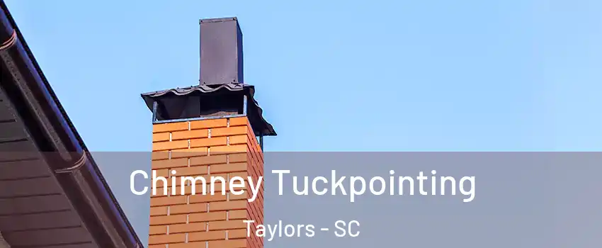  Chimney Tuckpointing Taylors - SC