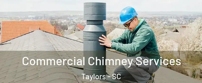  Commercial Chimney Services Taylors - SC