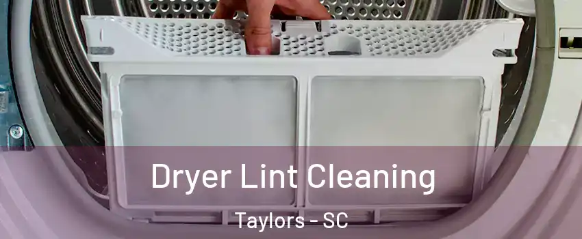  Dryer Lint Cleaning Taylors - SC
