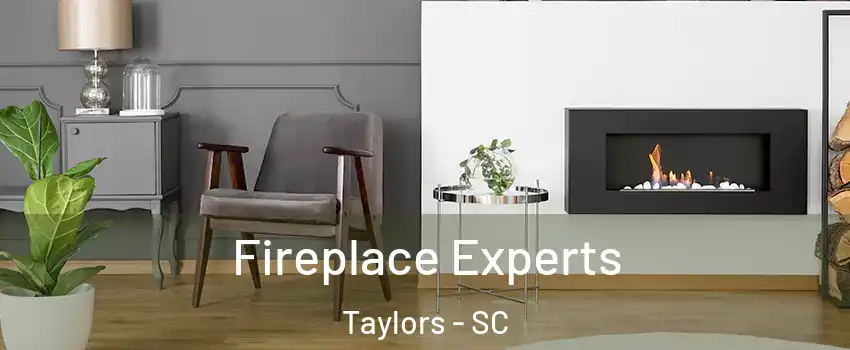 Fireplace Experts Taylors - SC