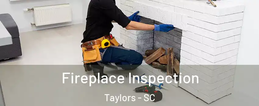  Fireplace Inspection Taylors - SC