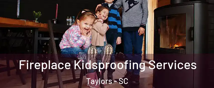  Fireplace Kidsproofing Services Taylors - SC