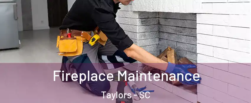  Fireplace Maintenance Taylors - SC