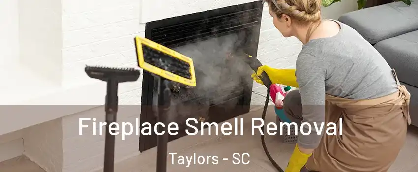  Fireplace Smell Removal Taylors - SC
