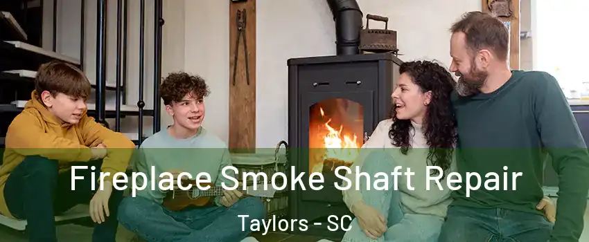  Fireplace Smoke Shaft Repair Taylors - SC