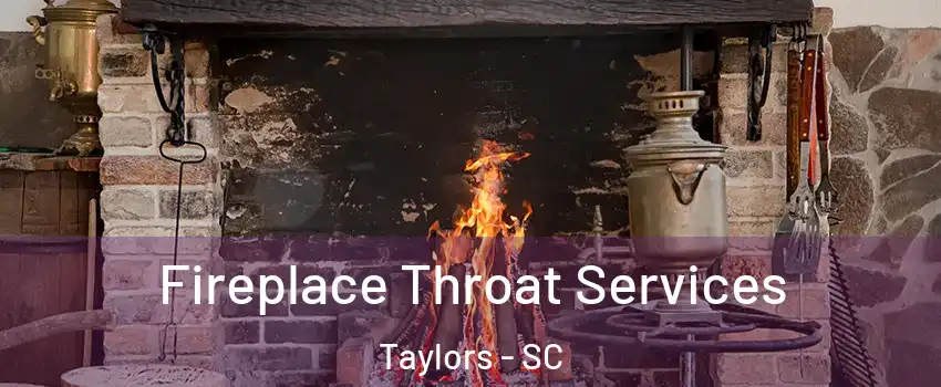  Fireplace Throat Services Taylors - SC