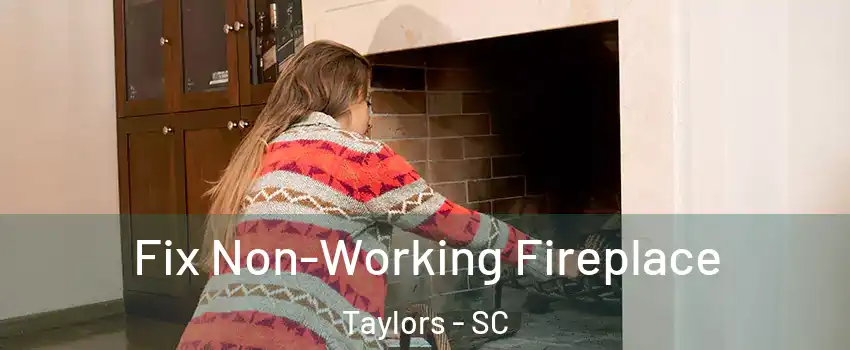  Fix Non-Working Fireplace Taylors - SC