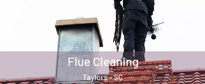  Flue Cleaning Taylors - SC