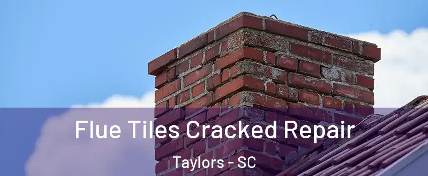  Flue Tiles Cracked Repair Taylors - SC