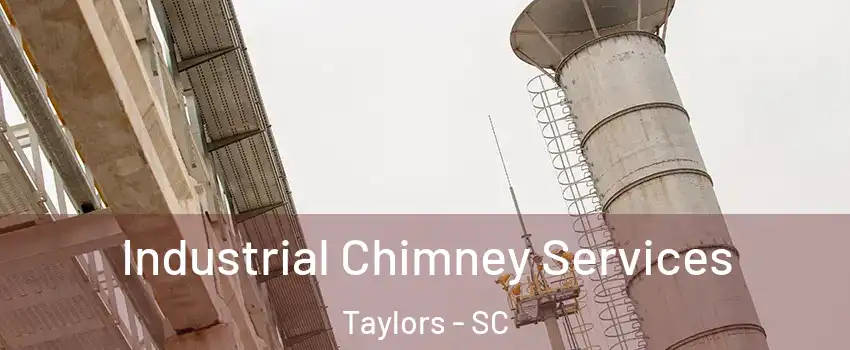  Industrial Chimney Services Taylors - SC