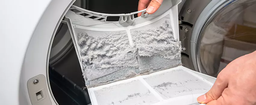 Best Dryer Lint Removal Company in Taylors, South Carolina