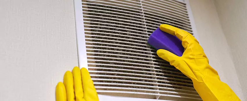Vent Cleaning Company in Taylors, SC