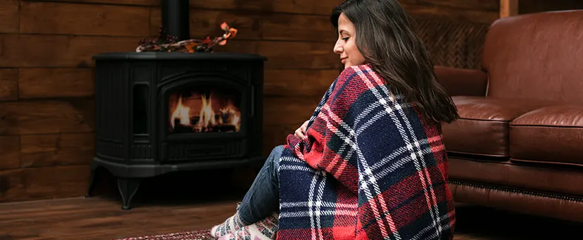 Fireplace Firebox Grate Replacement Services  in Taylors, South Carolina