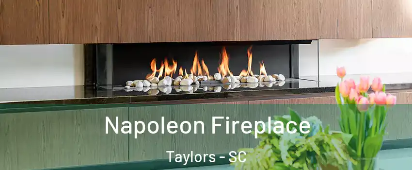  Napoleon Fireplace Taylors - SC