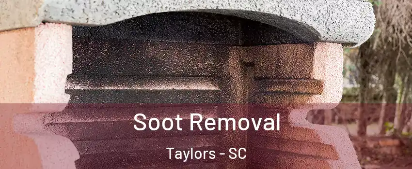  Soot Removal Taylors - SC